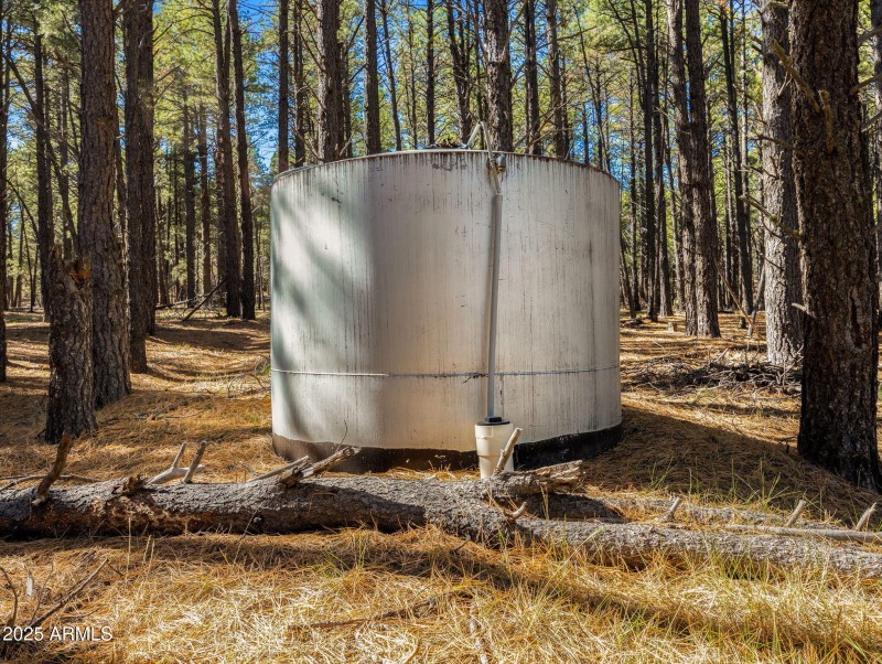 64-web-or-mls-3328 Crimson Rd-154