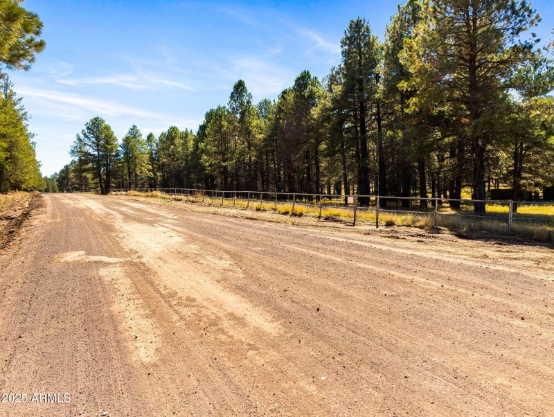 72-web-or-mls-3328 Crimson Rd-175