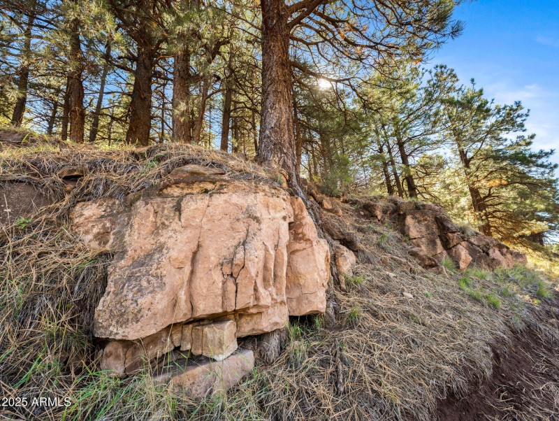 76-web-or-mls-3328 Crimson Rd-185