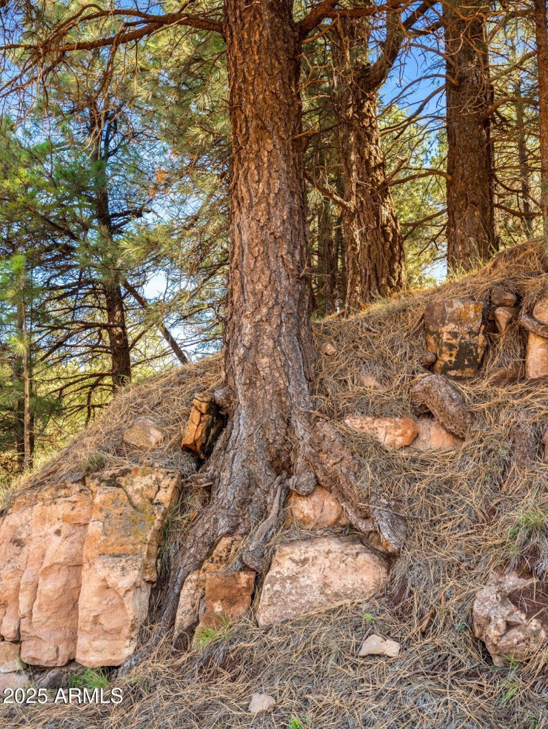 77-web-or-mls-3328 Crimson Rd-186