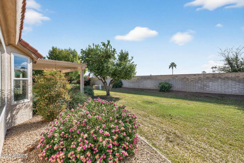 Grassy backyard- HOA maintained