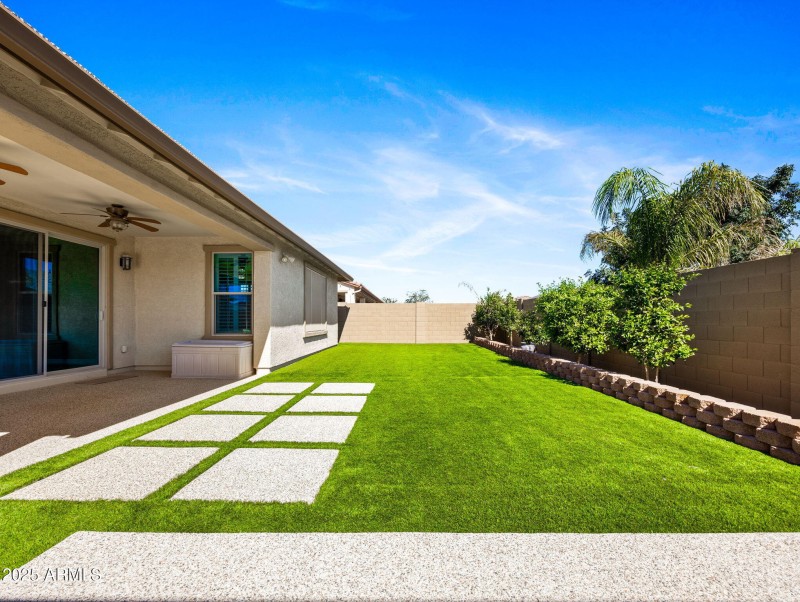 Backyard
