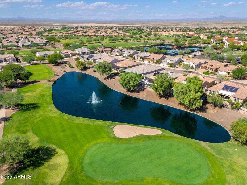 Sun City Festival - 08