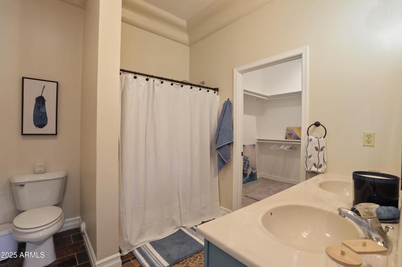 Downstairs Master Bsth