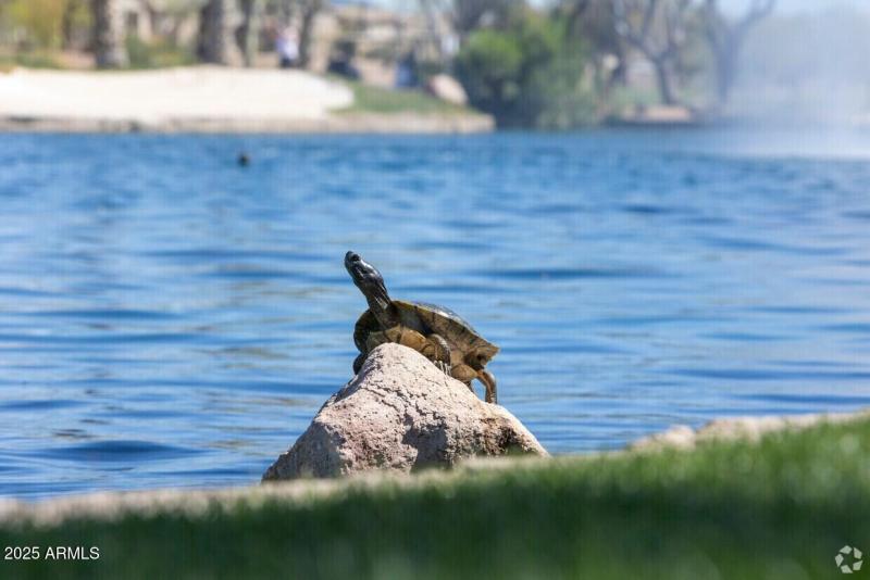 786B8BA7-B656-4377-BDA3-1036F21D0EC8