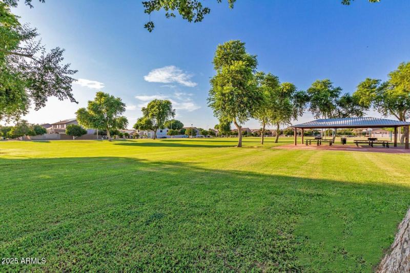 Community Park, Alt View