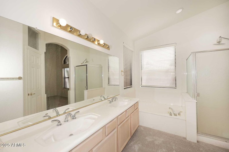 All the Creature Comforts