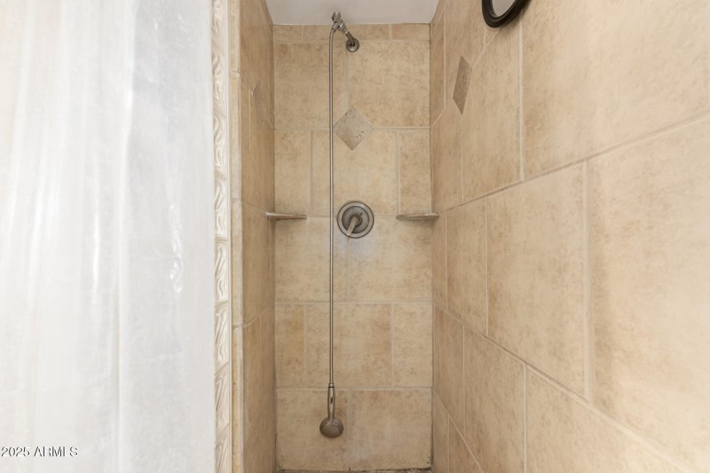 Primary suite walk-in shower