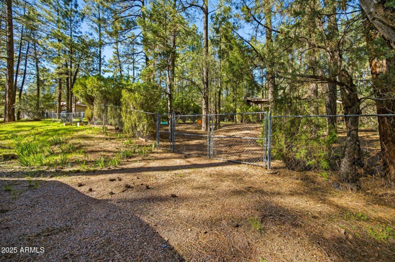 5094MarysWay-PineAZ-4