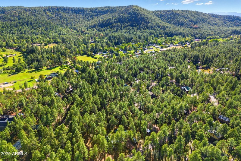 5094MarysWay-PineAZ-29