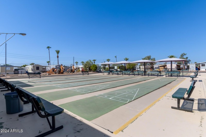 agave village shuffle