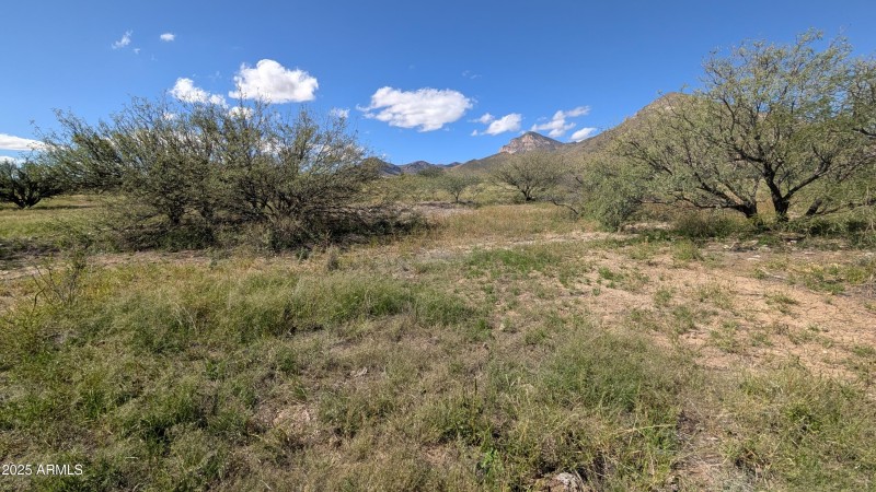 PXL_20251017_182041422