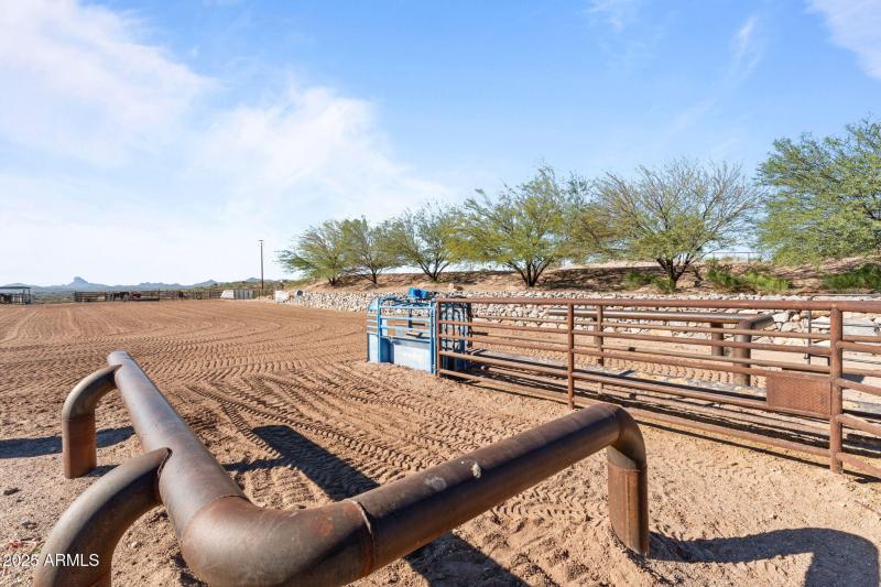 53-web-or-mls-DSC09345