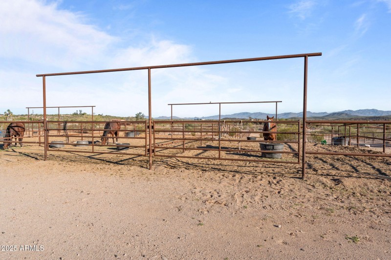 19-web-or-mls-DSC09155