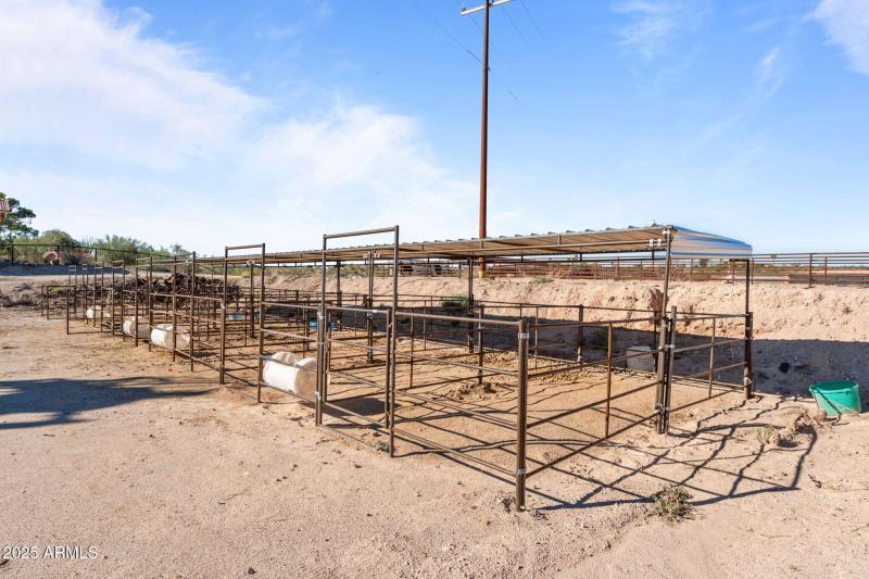 54-web-or-mls-DSC09350