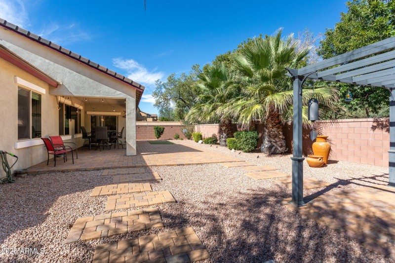 low maintenance back yard