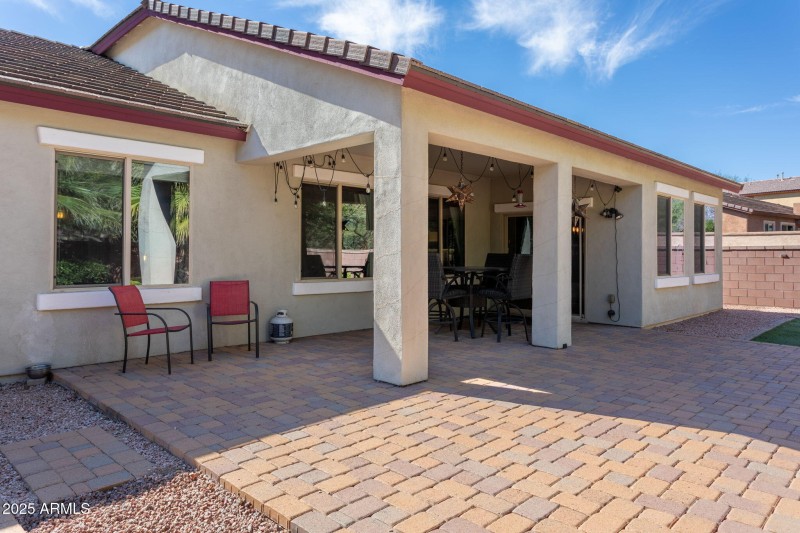 low maintenance back yard