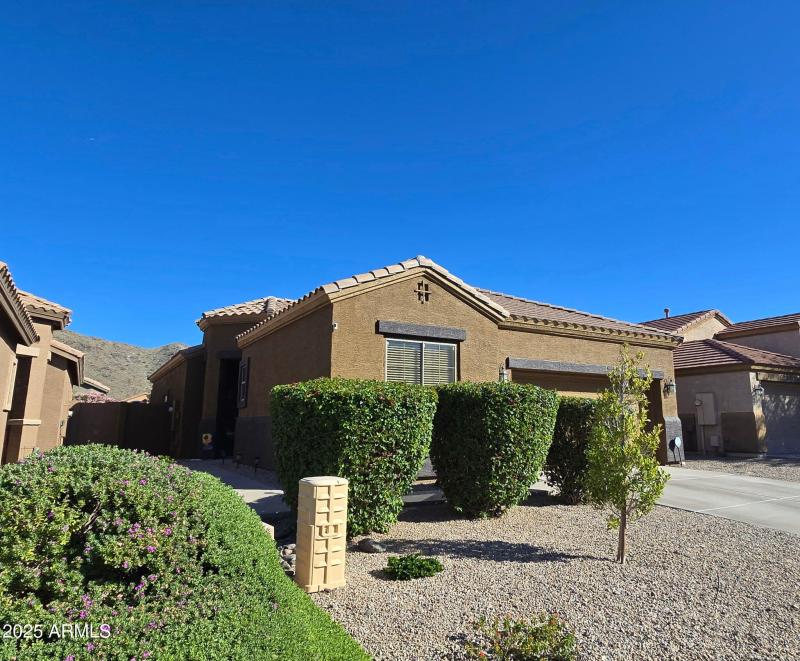 Low maintenance yard