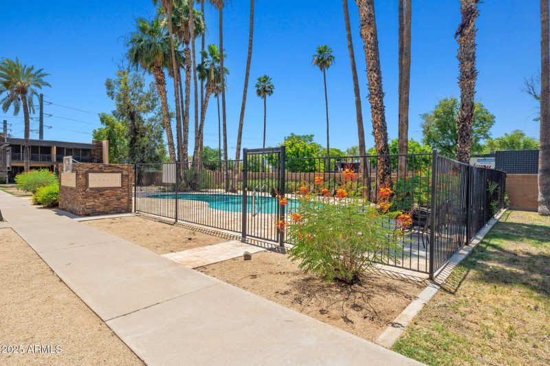 Community pool / courtyard