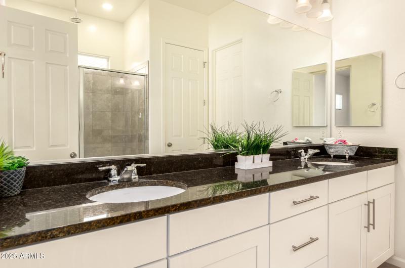 19 - Swayback 10502 - Copy - Copy - Copy