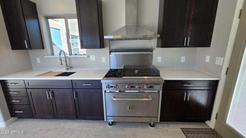 Professional Gas Grill / Oven