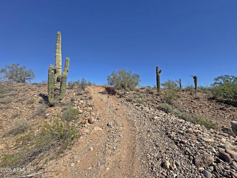 Off-Road Preserve Trails