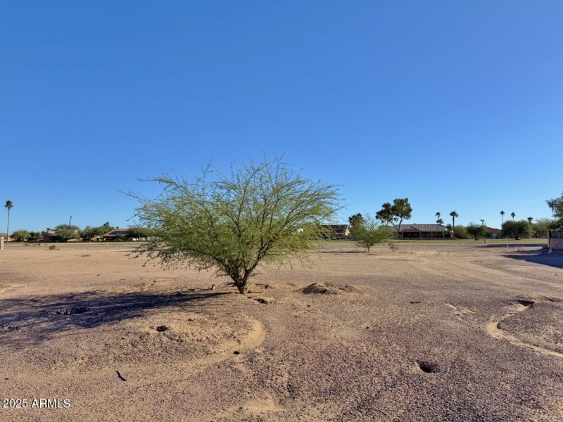View of property from the street