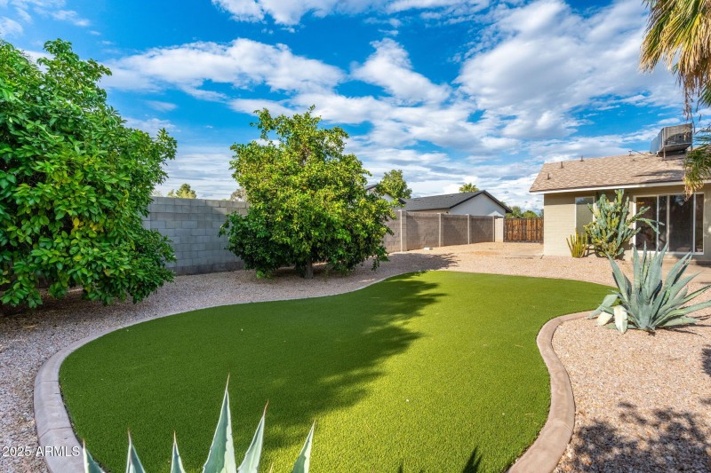 30) 63672-68f710b92cb25