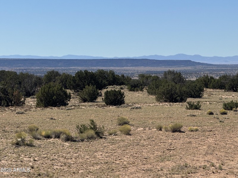 20251014003813366393000000-o