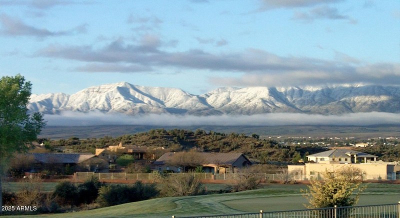 Backyard Views in Winter