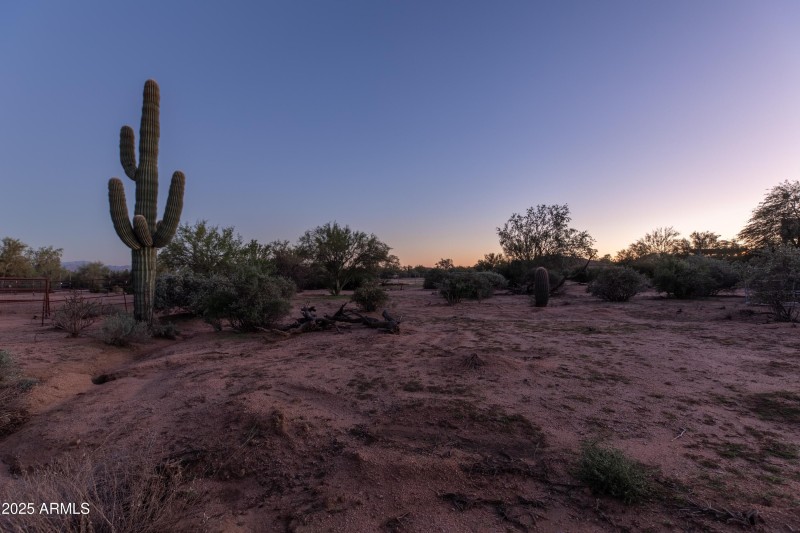 Lots of Room for Customization