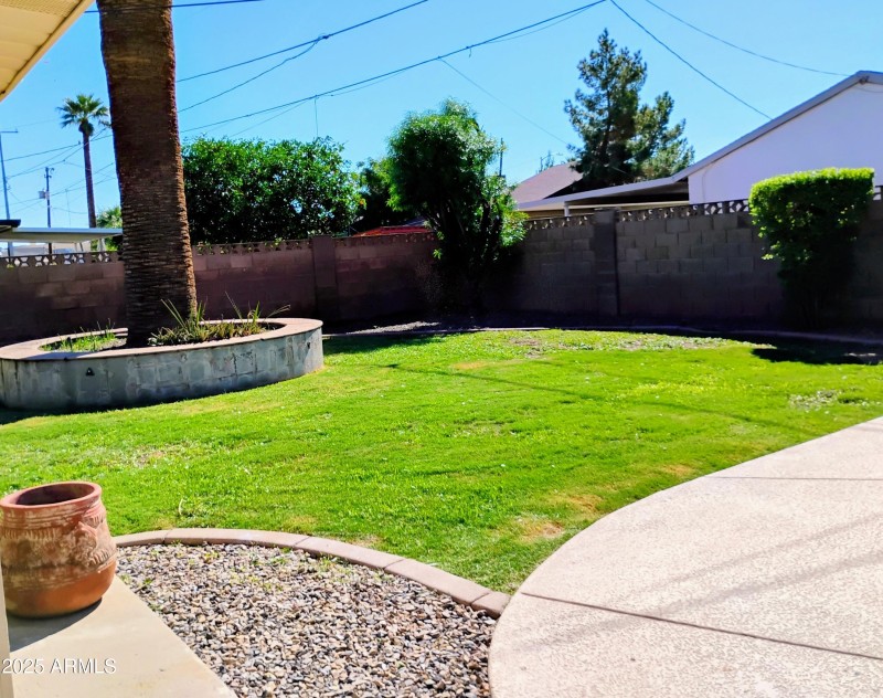 Grassy area in yard!