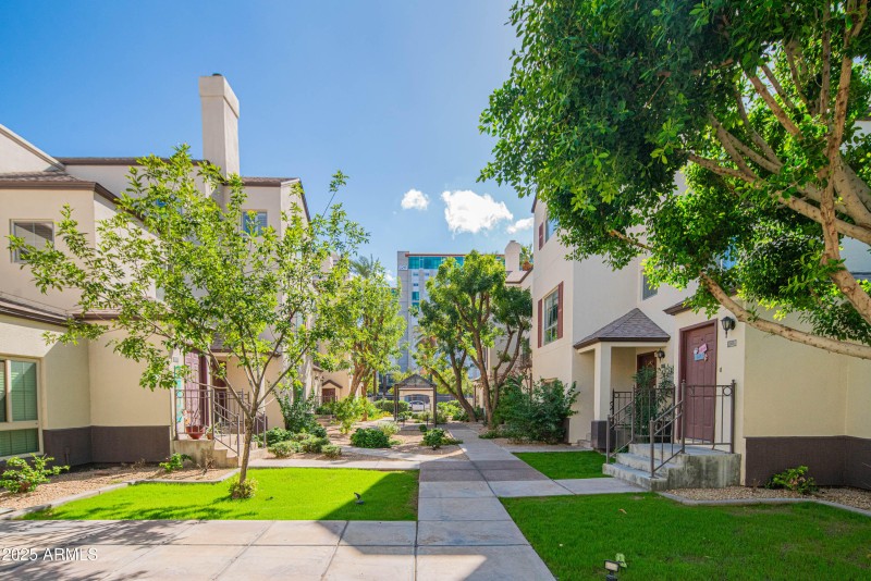 craigrootimaging_217-35