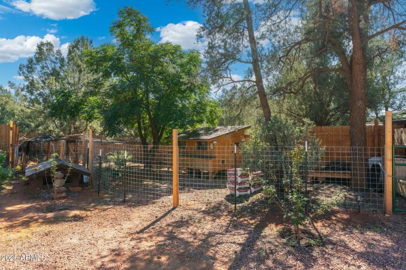 Automated chicken coop