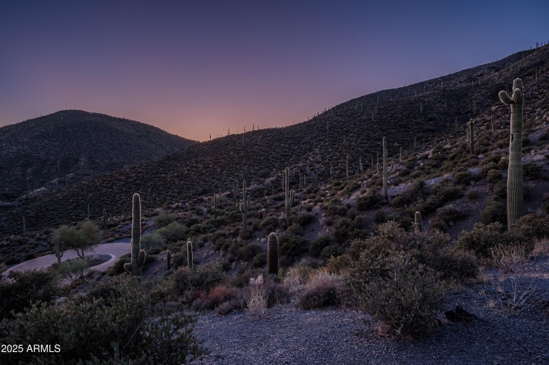 9108 N Grapevine Pass Lot 338-24