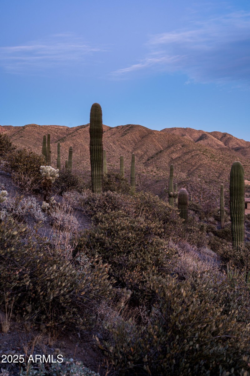 9108 N Grapevine Pass Lot 338-21