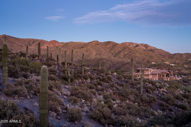 9108 N Grapevine Pass Lot 338-19