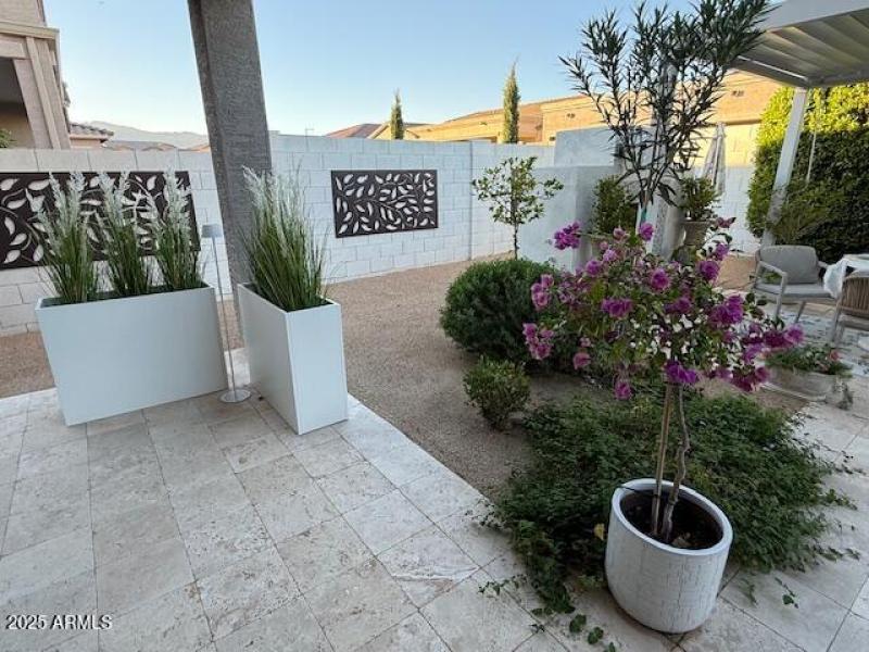 Flowering Potted plants upd