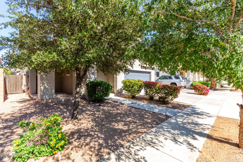 Walkway to Front Door