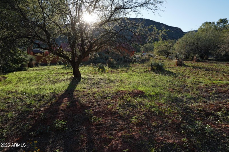 Quiet cul-du-sac location