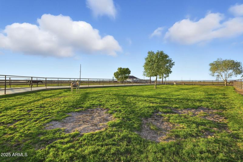 85-web-or-mls-ListerPros-39