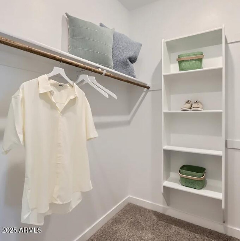 Owners Walk in Closet