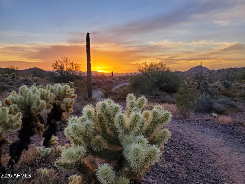 Hiking, mt. biking, trails next door