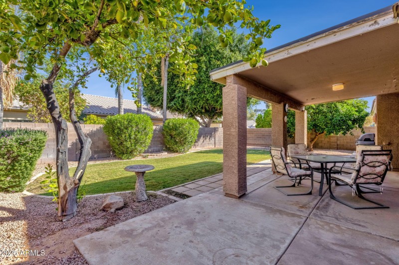 Backyard with lemon tree