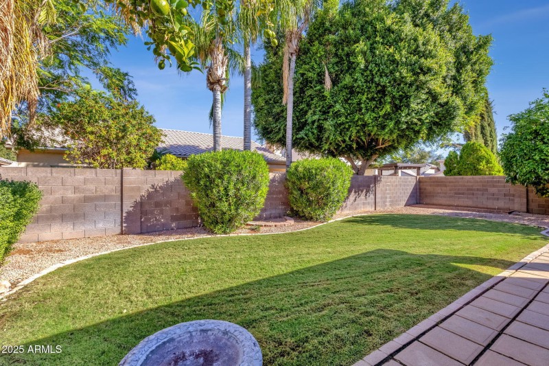 Backyard looking out