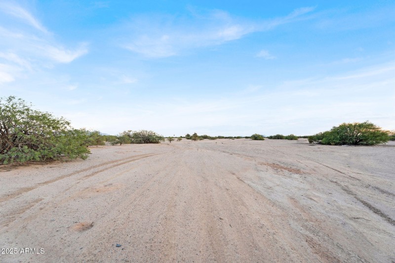 5-web-or-mls-DSC02506