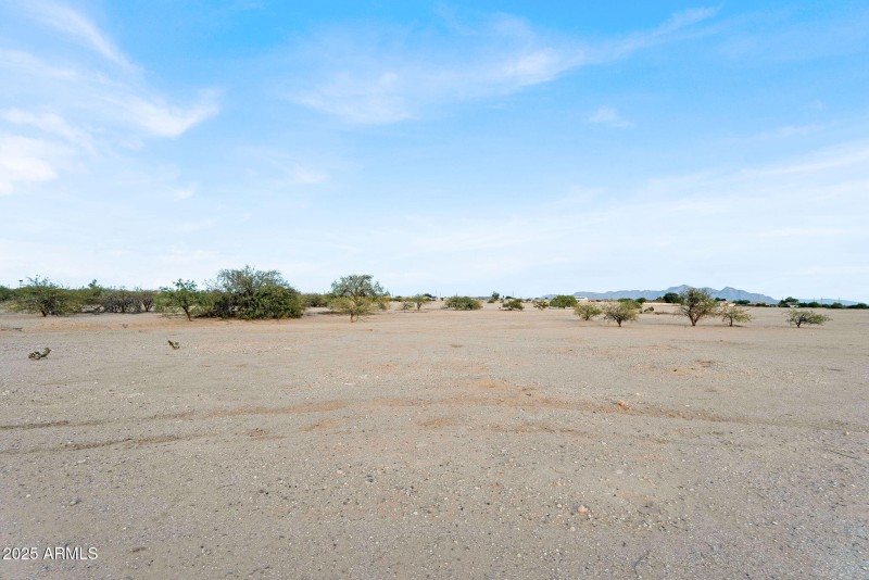 11-web-or-mls-DSC02536