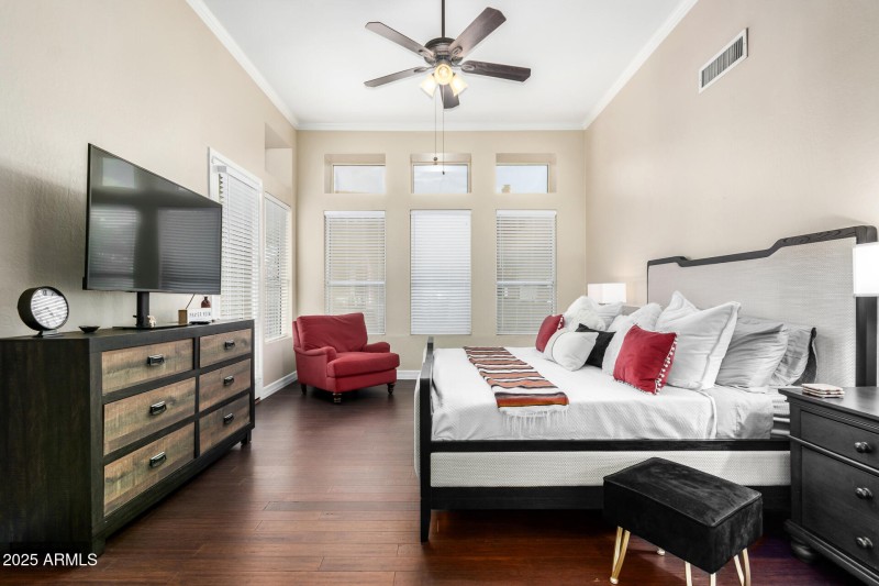 04 - Desert Marigold