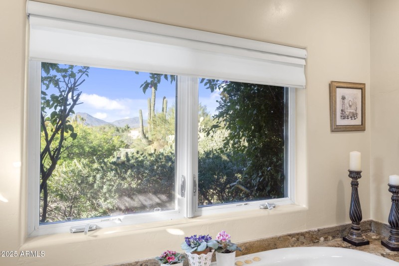 Serene Mountainvew Sanctuary