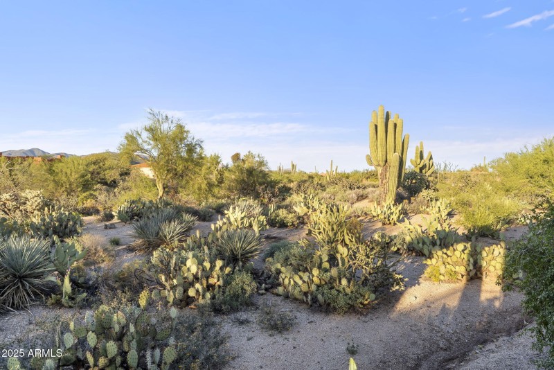 Private Arizona Compound!